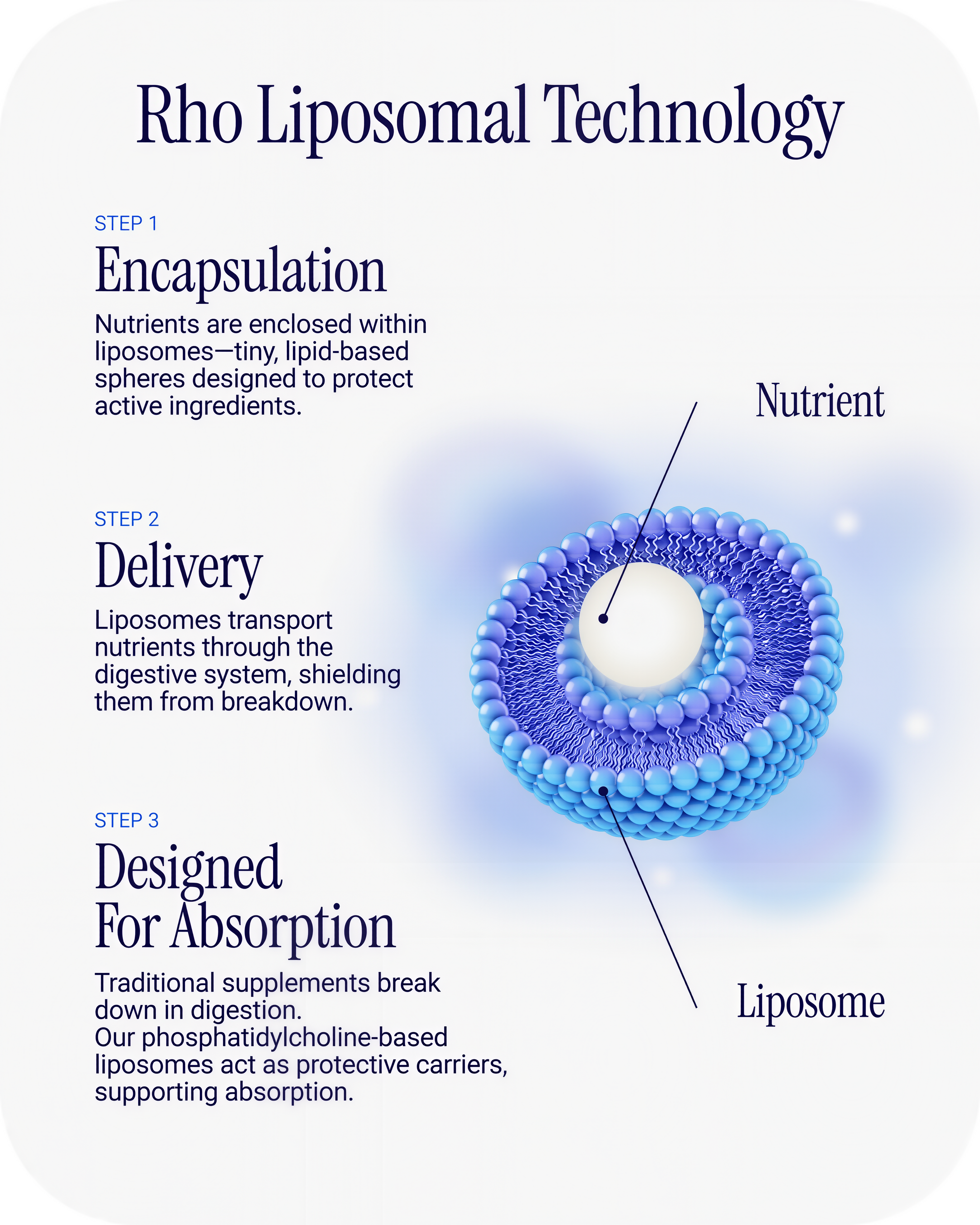 Rho Nutrition Liposomal Curcumin+ Resveratrol